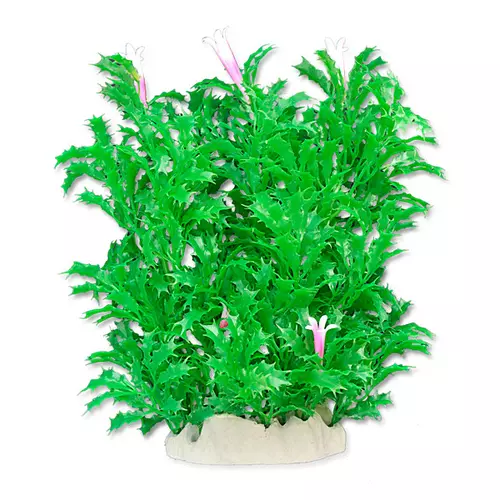 Ro�lina folia 20cm 2f18 Happet
