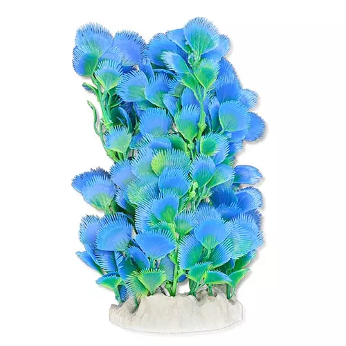 Ro�lina folia 20cm 2f19 Happet
