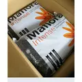 Rotala Maflora INTENSE Normal [3l] 2-5mm - pod�o�e aktywne