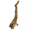 ROTALA Premium Canyon Wood 1kg