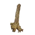 ROTALA Premium Canyon Wood 1kg