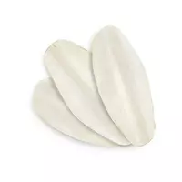 Sepia luz 12cm karton 25szt. Happet