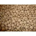 Sera Viformo Tabs Nature [700 tabl.] - pokarm dla ryb dennych (tabletki)