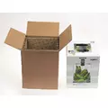 Shrimp Set Smart D&N 10 Czarny Ecom