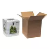 Shrimp Set Smart D&N 20 Bia�y Ecom