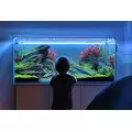 Sinkor LED II 105cm White 45W z Wifi LED Control