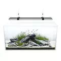 Sinkor LED II 120cm Fine WRB 38W + Wifi LED Control