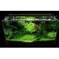 Sinkor LED II 75cm WRB 28W z Wifi LED Control