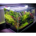 Sinkor LED II 75cm WRB 28W z Wifi LED Control