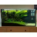 Sinkor LED II 90cm WRB 33W z Wifi LED Control