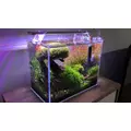 Sinkor LED II 90cm WRB 33W z Wifi LED Control