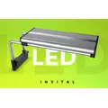 Sinkor MINI LED 5 W
