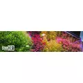 Sinkor Optima 105cm / 105 W z Wifi LED Control