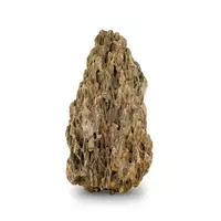 Skałka Smocza skała, M 20-30cm