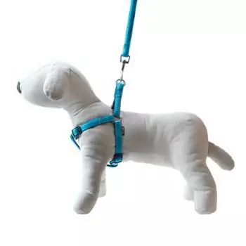 Smycz+szelki Soft Style turkus XL2.5cm