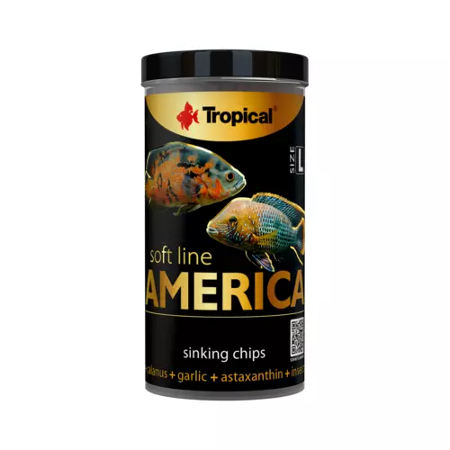 Soft Line AMERICA Size L [100ml/52g]