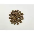 Sv All Breed Ster Freshturkey 1kg
