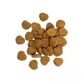 Sv Cat Snack Crunchy Kittens Turkey 50g