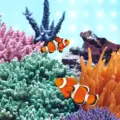 �wietl�wka Juwel Marine LED 590mm