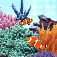 �wietl�wka Juwel Marine LED 895mm
