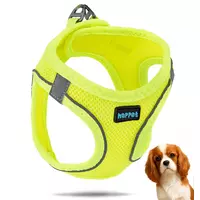 Szelki air comfort S neon lime