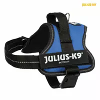 SZELKI Julius-K9,M: 51-67cm, NIEBIESKIE