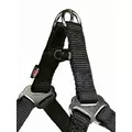 Szelki Premium 50-65cm/20mm Czarna