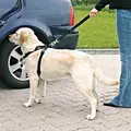 Szelki Samoch. Dla Psa L