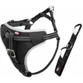 Szelki samochodowe dla psa (M) 50-65cm/20mm