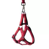 Szelki Soft Style czerwone L 2.0cm