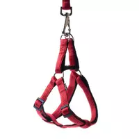 Szelki Soft Style czerwone M 1.5cm