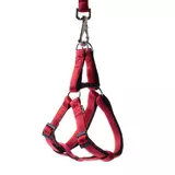 Szelki Soft Style czerwone S 1.0cm
