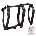 Szelki Stay, S-M: 40-65cm/15mm, czarne