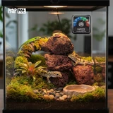 Termometr do terrarium