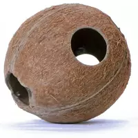 Terrario CocoLair - ca�y kokos naturalny