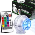 Terrario Moonray with timer - o�wietlenie nocne z programatorem