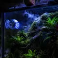 Terrario Moonray with timer - o�wietlenie nocne z programatorem