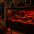 Terrario Moonray with timer - o�wietlenie nocne z programatorem