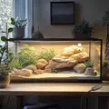 Terrario Muaritan Time Control - oprawka z programatorem czasowym
