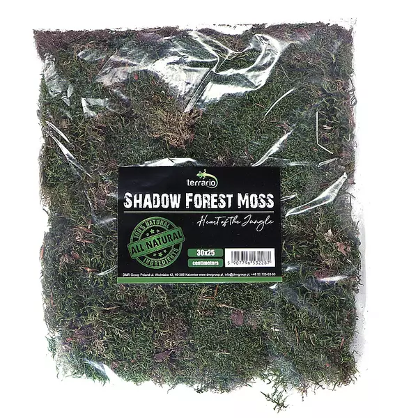 Terrario Shadow Forest Moss [35x30cm] - mech naturalny