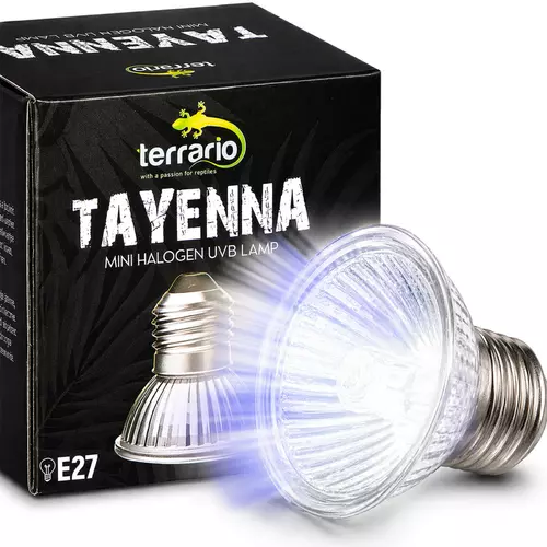 Terrario Tayenna 25W - mini halogen Uvb