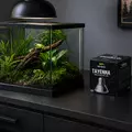 Terrario Tayenna 25W - mini halogen Uvb