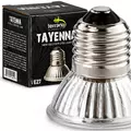 Terrario Tayenna 25W - mini halogen Uvb