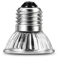 Terrario Tayenna 50W - mini halogen Uvb