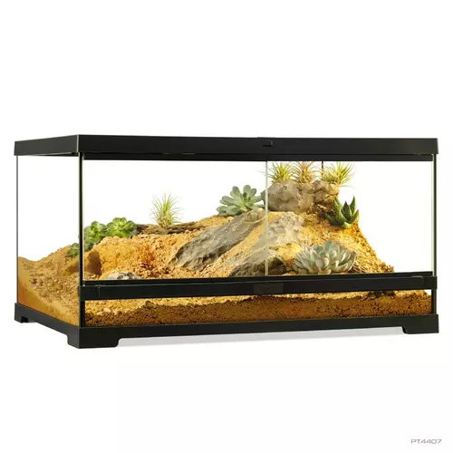 Terrarium Pro, M, niskie, 60x45x30cm