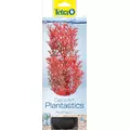 Tetra DecoArt Foxtail Red M - dekoracyjny wyw��cznik rdzawy