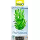 Tetra DecoArt Hygrophila S - dekoracyjna trawa bagienna