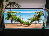 T�o Backlight LED t�o do akwari�w 60x36cm