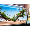 T�o Backlight LED t�o do akwari�w 60x36cm