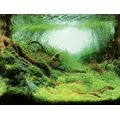 T�o dwustronne Aqua Nova ro�liny + ocean [150x60cm]